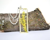 Real Flower Jewelry, Yellow Sweet Clover Pressed Flower in Resin, Real Flower Necklace, Wild Flower Resin Pendant.