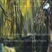 PRINT, 8 x 10, ART,  Certificate of Authenticity, Bird Painting, Ltd Ed. Giclee, Exhibition Art, Looking On