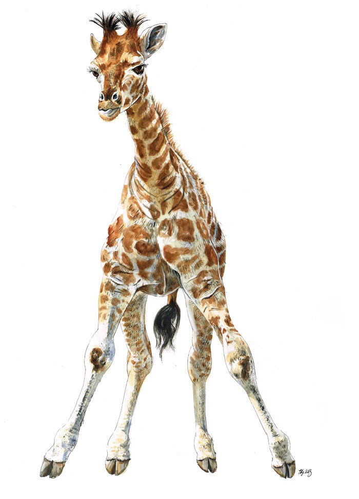 A2 Original Painting of a Baby Giraffe - "Knobbly Knees"