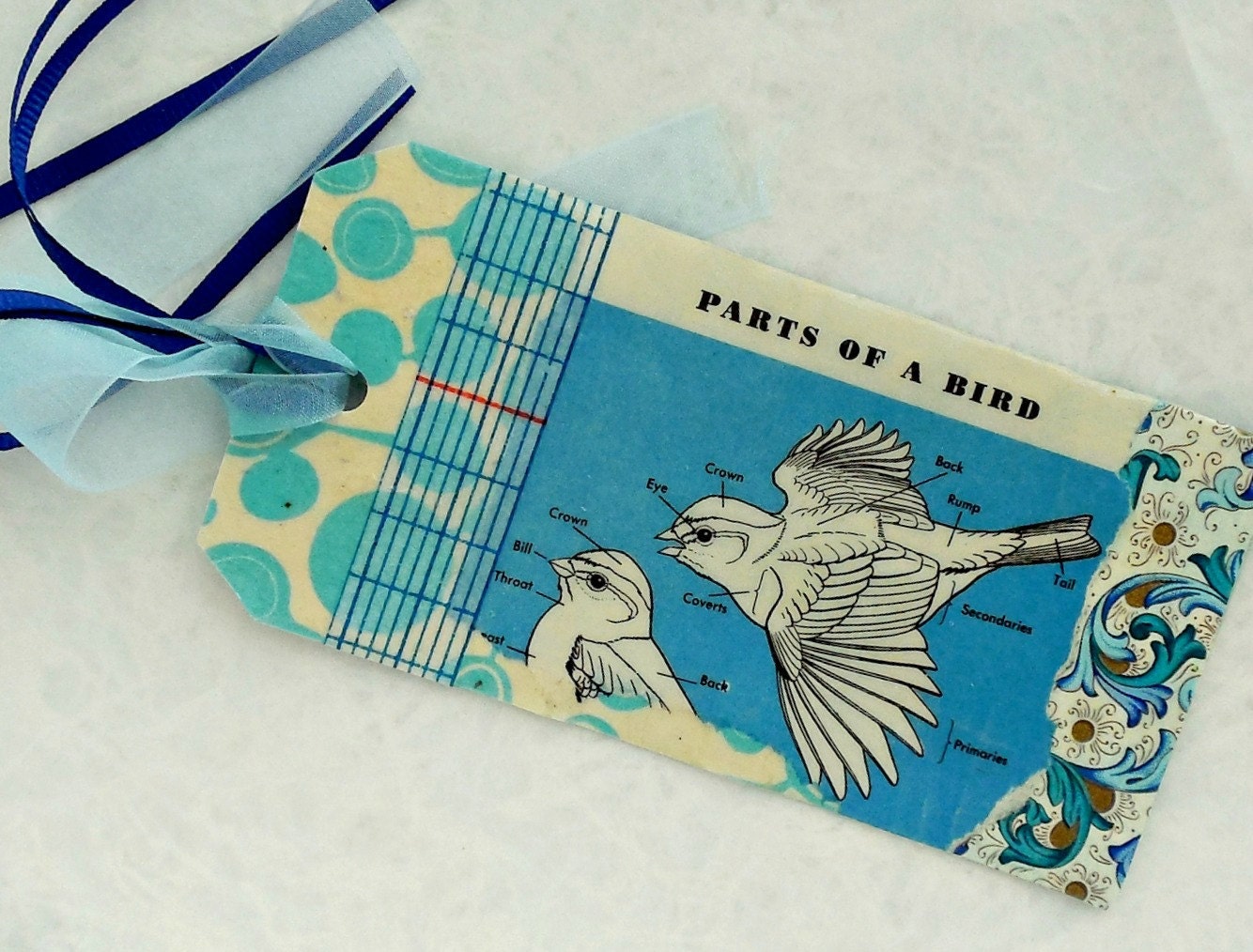 BIRD ANATOMY Book Mark, Art, Tag, Original Collage, Original Mixed Media, Blue