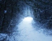 Narnia - Surreal Photograph, Dark Blue, Ethereal, Path Snow, Enchanted Forest Photography, Magical, Mysterious Light, Fantasy