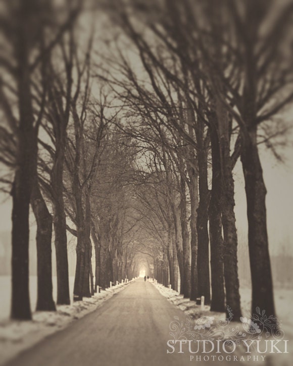 Fog Photo, Landscape, Black and White, Trees, Path,  Woods, Winter, Enchanted, Fairytale, Monochromatic, Nature Photography - Mystery