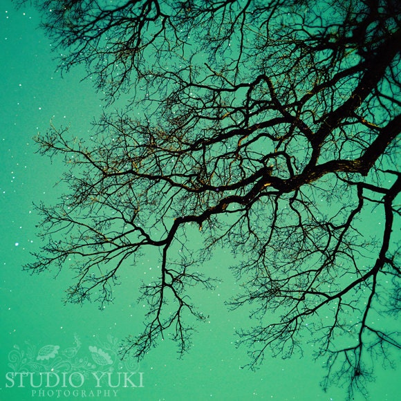 Tree Photo, Magical, Surreal, Fine Art Photography, Fairy Tale, Tree Branches, Sky, Stars, Teal, Turquoise, Forest - Reach for the Stars