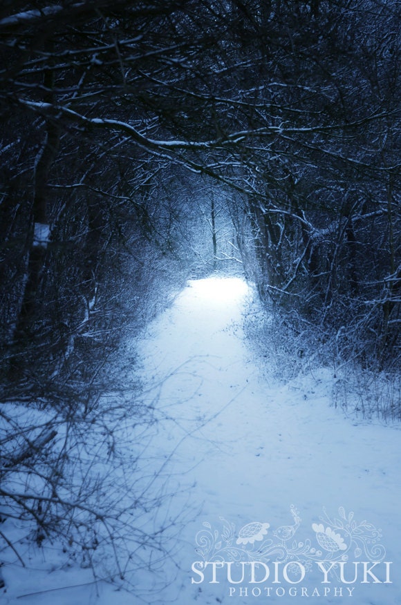 Narnia - Surreal Photograph, Dark Blue, Ethereal, Path Snow, Enchanted Forest Photography, Magical, Mysterious Light, Fantasy