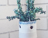 monterey hanging pot