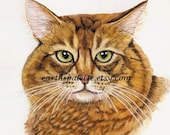 Orange cat painting portrait 5x7 print from original watercolor painting pets pet portrait cats home decor earthspalette
