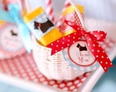 Dorothy Wizard Of Oz Birthday Party - DIY PRINTABLE Favor Tag Thank You Label - Instant Download - PS805CA1h