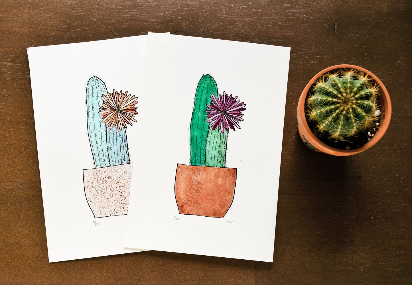 Globe Cactus - Limited edition watercolor painted print