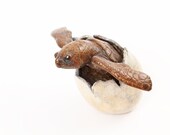 Turtle hatching No.1 Limited Edition Bronze PREORDER ONLY