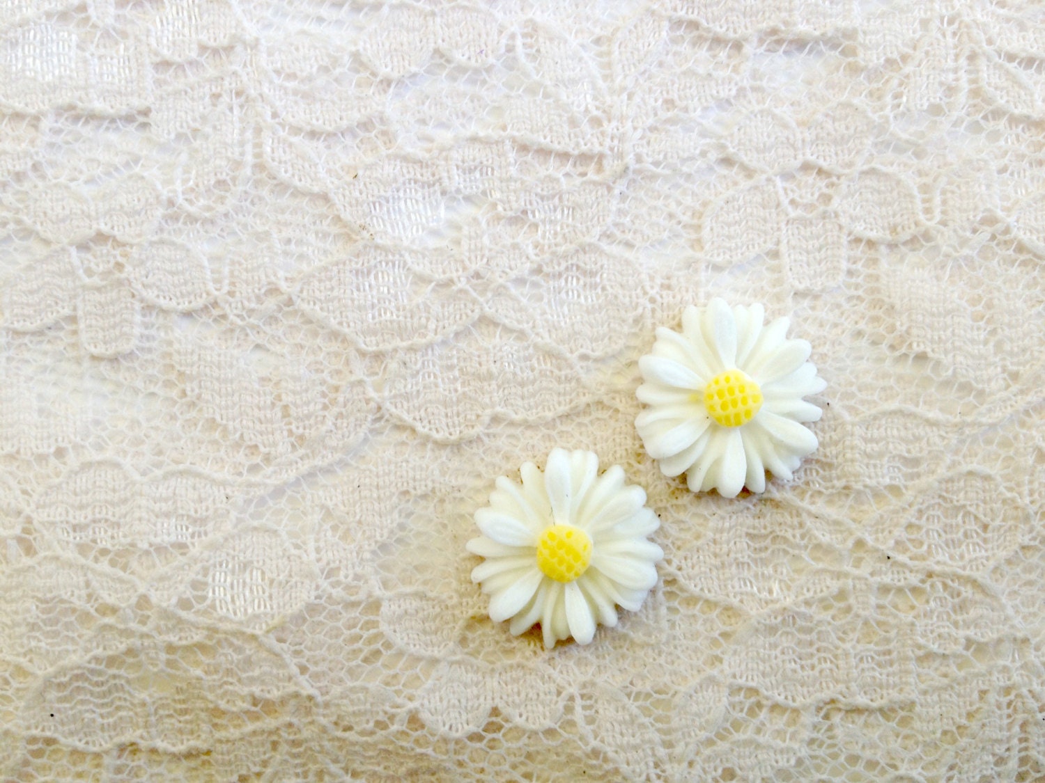 00g 0g 2g Organic 'Purest Petals' Daisy Plugs Made to Order