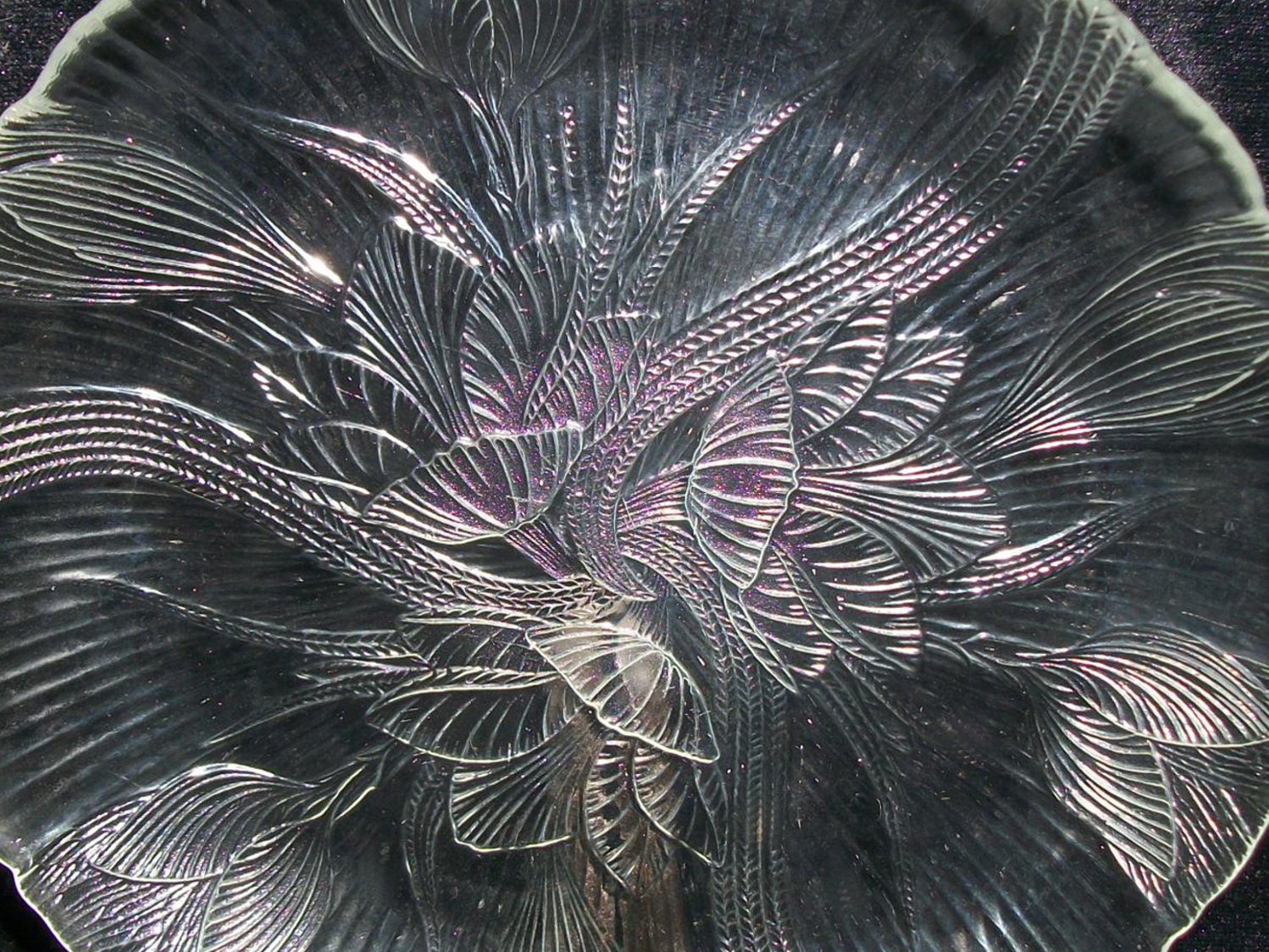 Set of 12 Arcoroc France  Canterbury Crocus (Clear) Floral Relief Dinner/ Salad Plates
