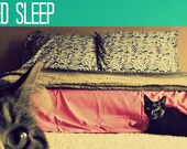 Operation I need Sleep PDF