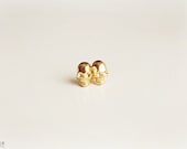 Gold Skull Earring Studs