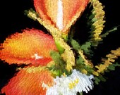 CANVAS PRINT,  GICLEE print, Abstract Fine Art  "Pure Elegance", Digital Painting, Orange, Red,  Signed Limited Edition 16 x 20, Flowers
