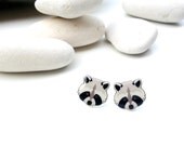 Raccoon shrink plastic studs with resin coating