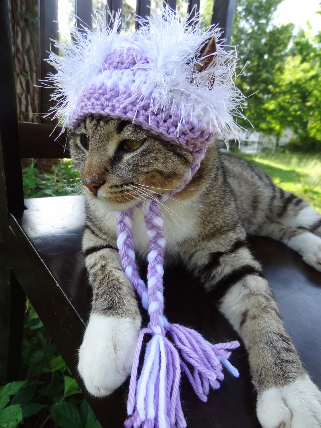 Cat and Dog Hat Costume - The Lilac and White Wackadoodle Hat for Cats and Small Dogs