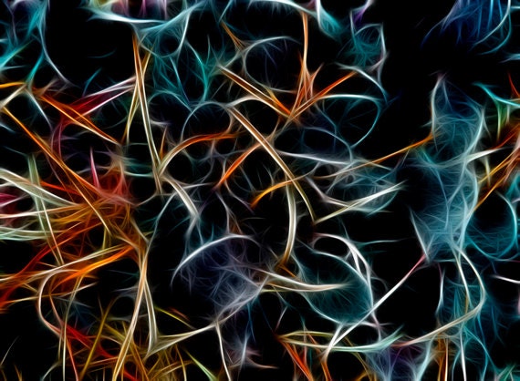 Connections -  fractal digital painting - Frosty Winter Leaves 8" x 10" -  sasha jackson photography - wall art - home decor - any size