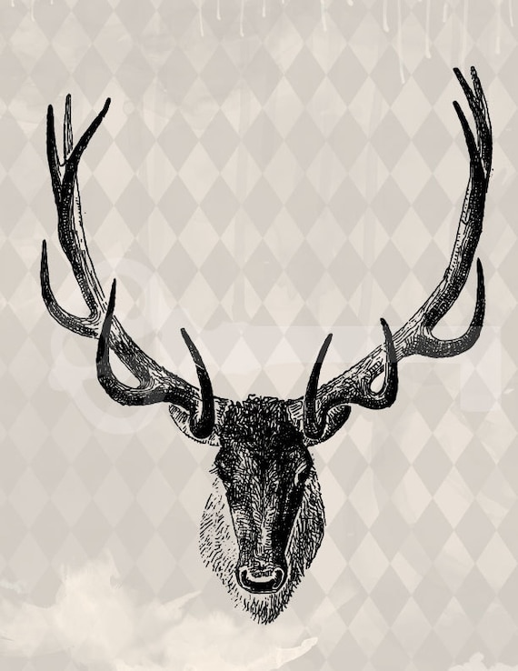 Buck Head Illustration Digital Graphic: No.309 by TanglesGraphics