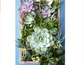 Vertical Succulent Garden