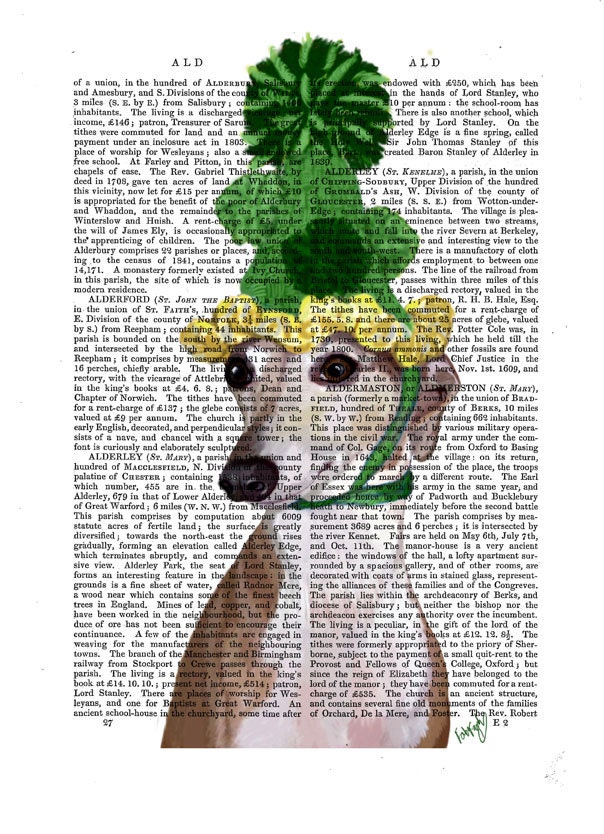Italian Greyhound Bobblehat Original Illustration Giclee Print Digital Drawing Painting Poster Art Wall Art Wall Decor Wall Hanging Humor