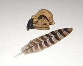Eagle SKULL Replica 2 Inch Drilled Realistic Natural Bone Color- Art and Craft Supply
