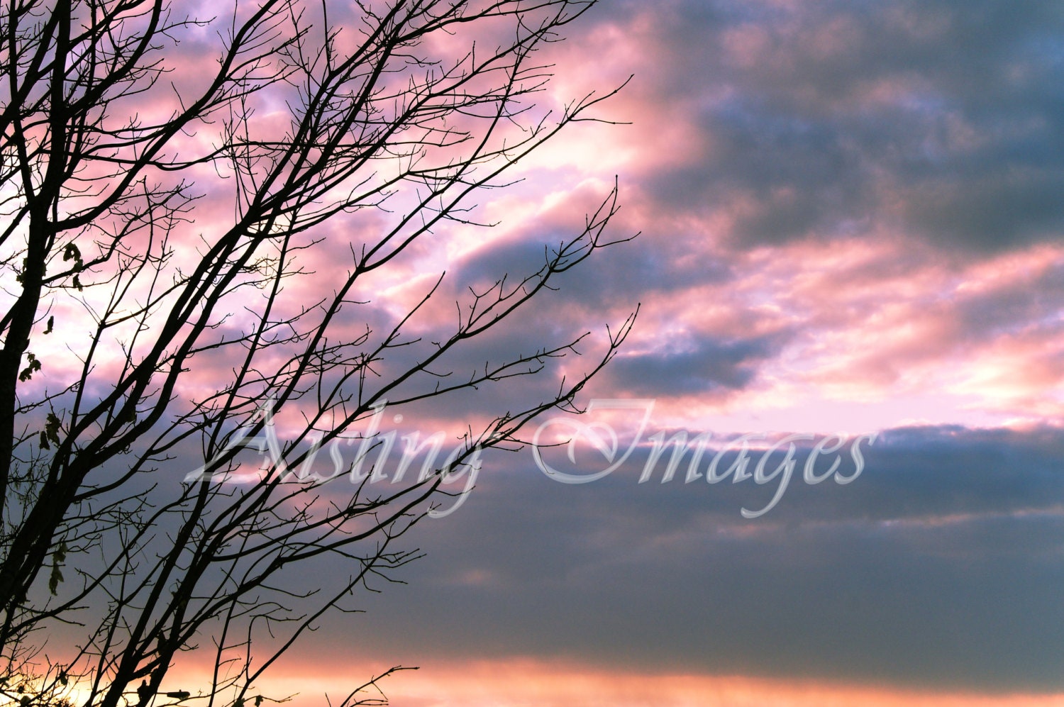 Sweet Dreams, 11x14 Fine Art Photography Nature Print, Home Decor, Nursery Decor, Sunset