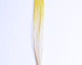 Arachne necklace, delicate macrame, naturally dyed