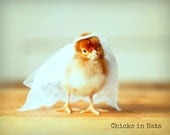 Photo Print 8x10 Chick Wearing Bridal Veil Photograph