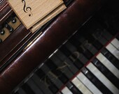 Wooden music box  "Beethoven: Für Elise" ZD09