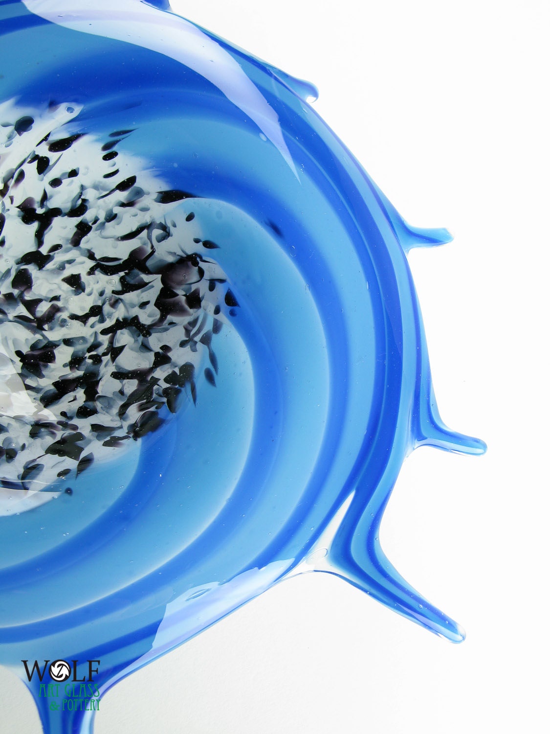 Cobalt Blue Morning Glory Blown Glass Wall Art by wolfartglass