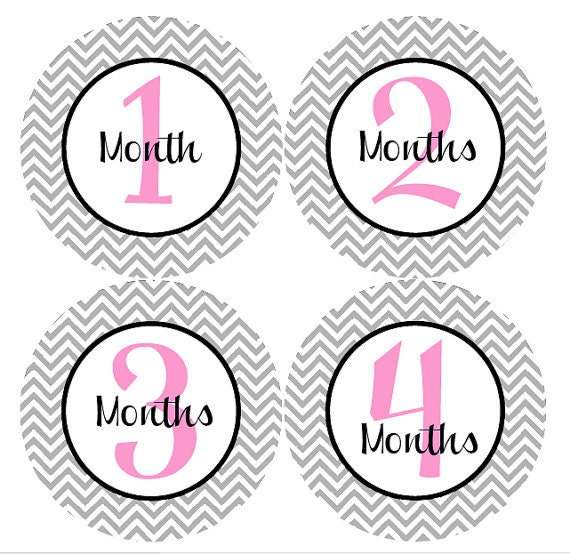 Girl Monthly Stickers - Girl Baby Monthly Stickers - Pink and Grey Chevron Girl Month Stickers - Carmen Il_570xn