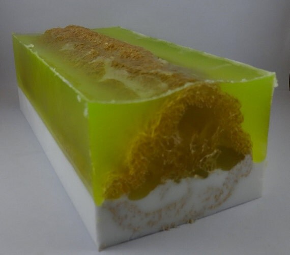 items similar to lime cilantro loofah soap loaf on etsy items similar to lime cilantro loofah soap loaf on etsy