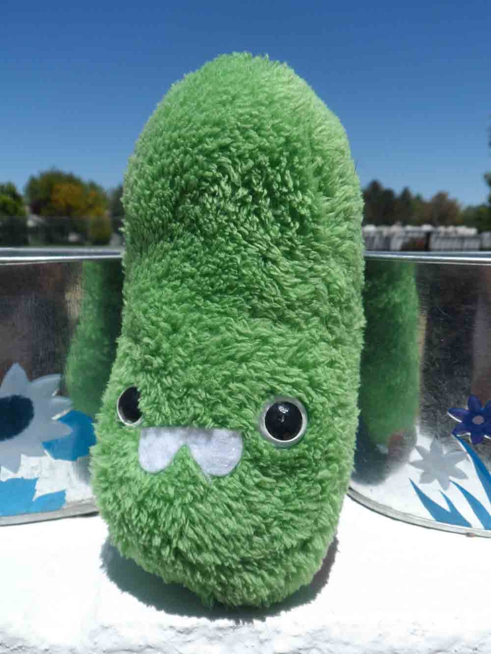 plush pickle toy