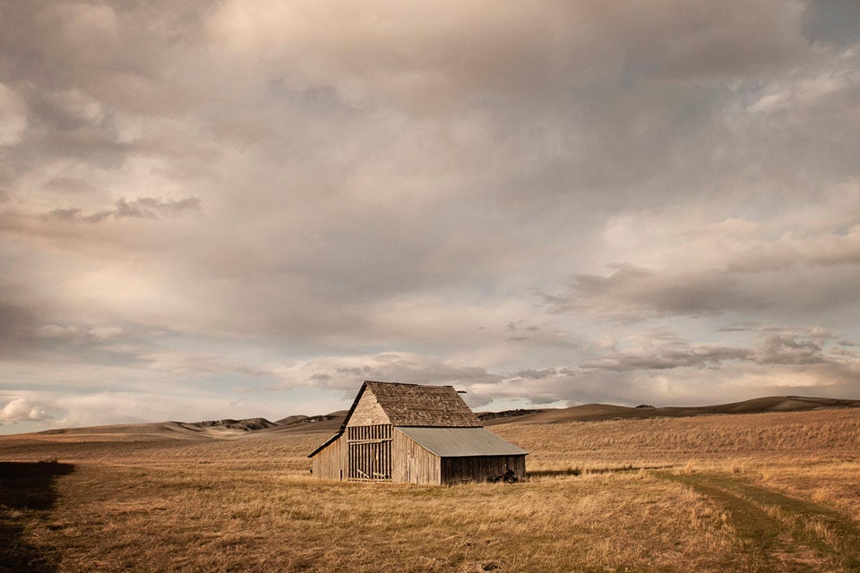 Country Barn Photograph, Architecture Photography, Farm Photography, Sunset Light, 8x12 - ApplesAndOats
