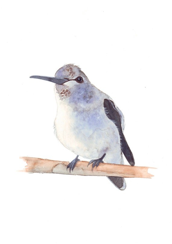 Humming bird Painting bird print of watercolor painting 5 by 7 print - Splodgepodge Humming bird Painting bird print of watercolor painting 5 by 7 print - Splodgepodge
