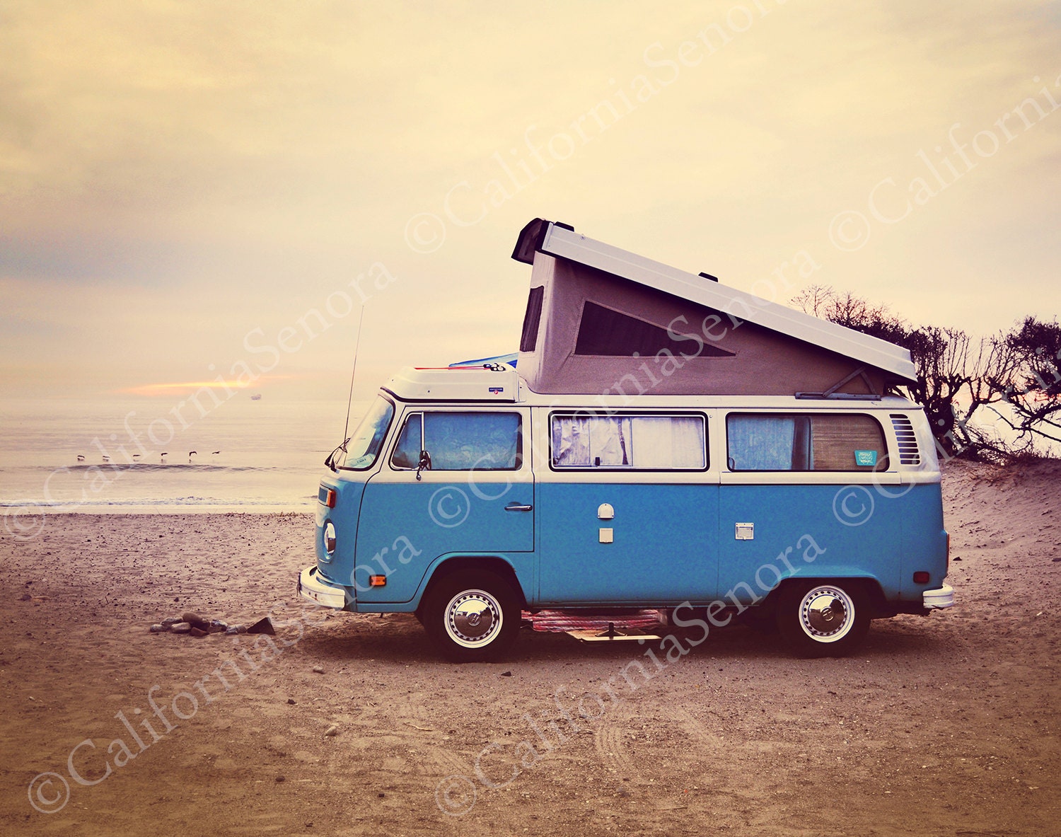 Campin at the Beach an 11x14 Photograph of a VolksWagon Van Camping at the Beach gives a Bohemian Retro Style - CaliforniaSenora
