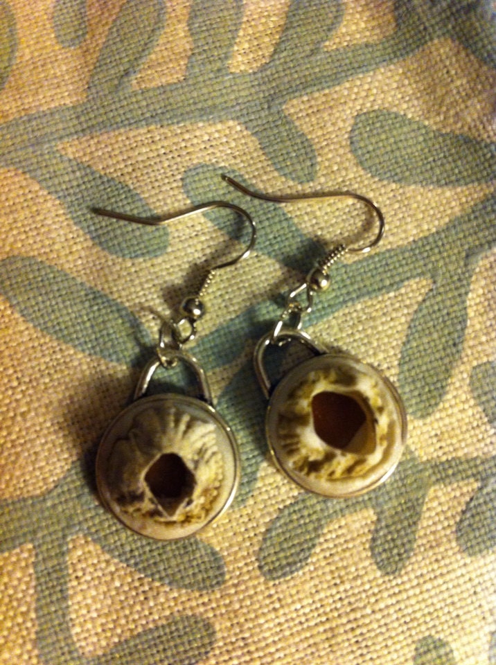 Barnacle Earrings from Maine Coast set in Polymer clay within pendants - caamsy