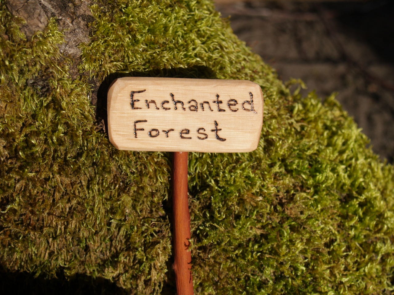 Items similar to Enchanted Forest, Fairy Garden Sign on Etsy
