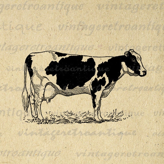 clip art holstein cow - photo #30