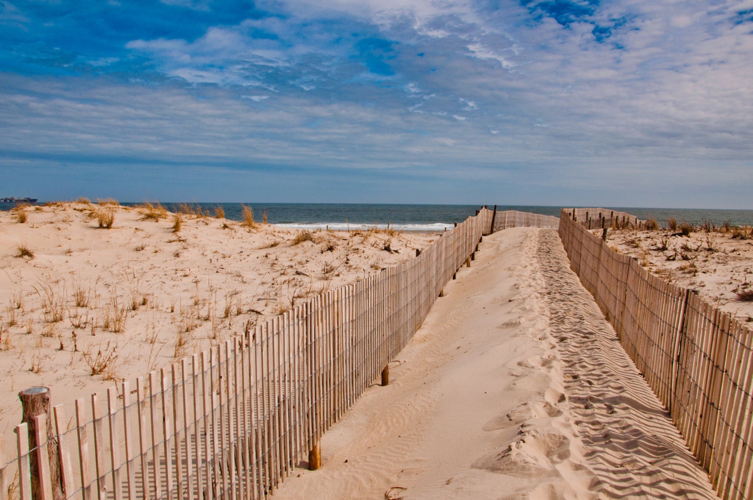 Path to the Atlantic at Cape Henlopen State Park, Delaware. - Beach Nature Photography Fine Art Print or Gallery Wrap Canvas - AppalachianViews