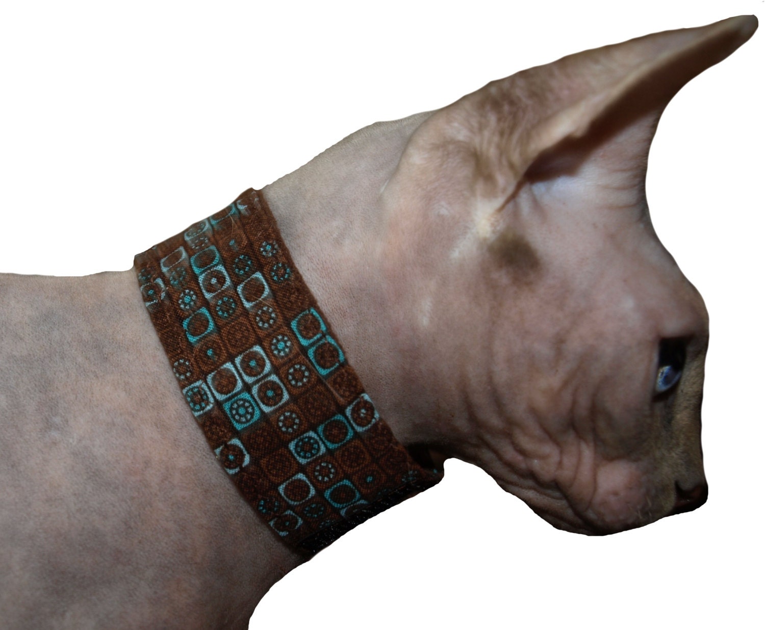 Cat Collar Sphynx Cat Collar Pet Collar With by HairlessWear