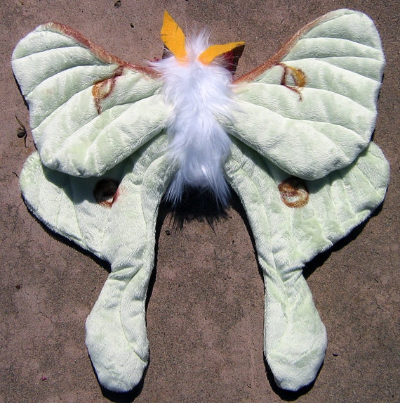 moth plush