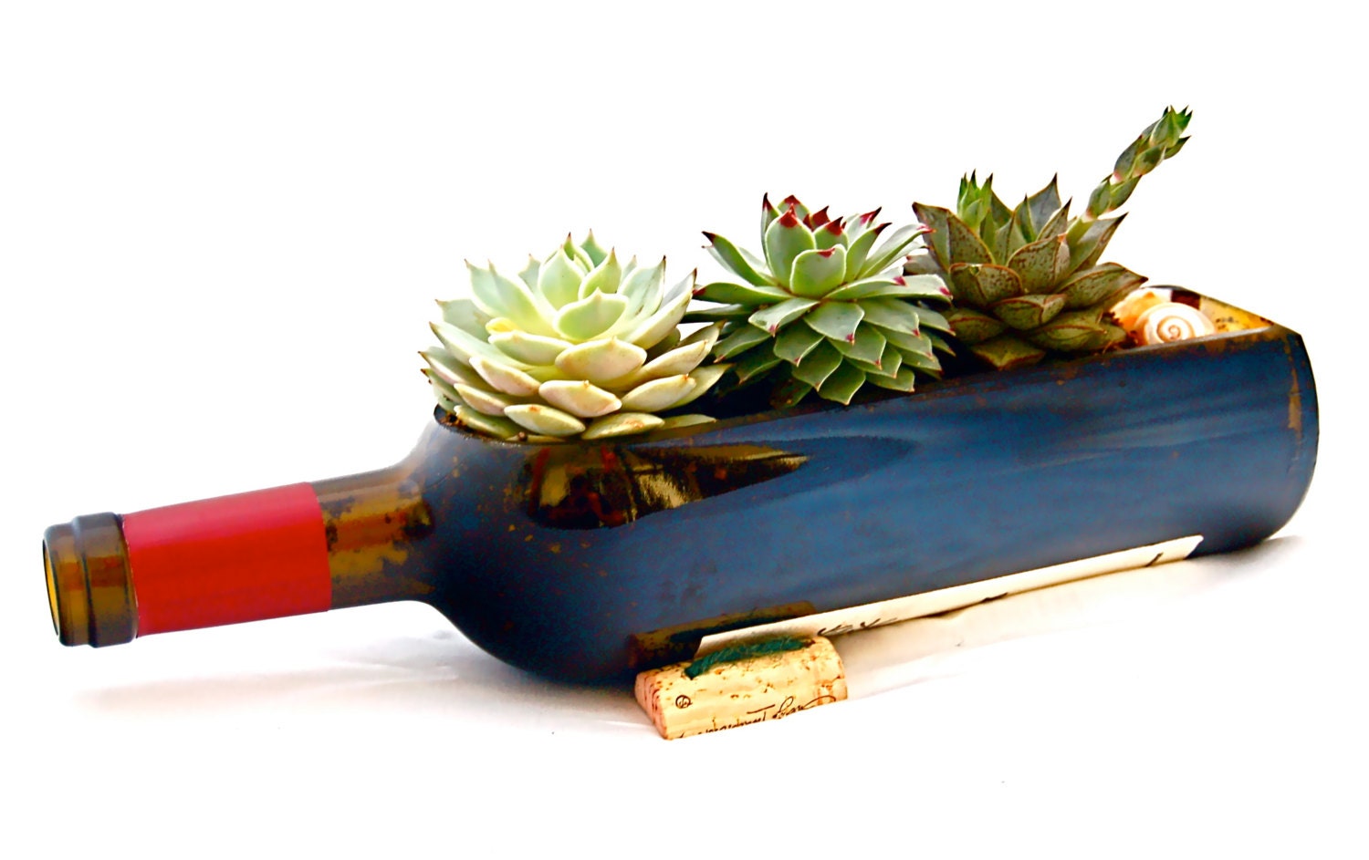 The Original Wine Bottle Garden // Succulent Planter Kit