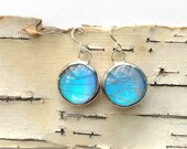 Shimmering Blue Butterfly Earrings - iridescent, metallic, ocean blue morpho