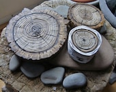 Woodland Wall Art 3D  Natural Wood Stump Wall Hanging Plaques - Tree Ring Art