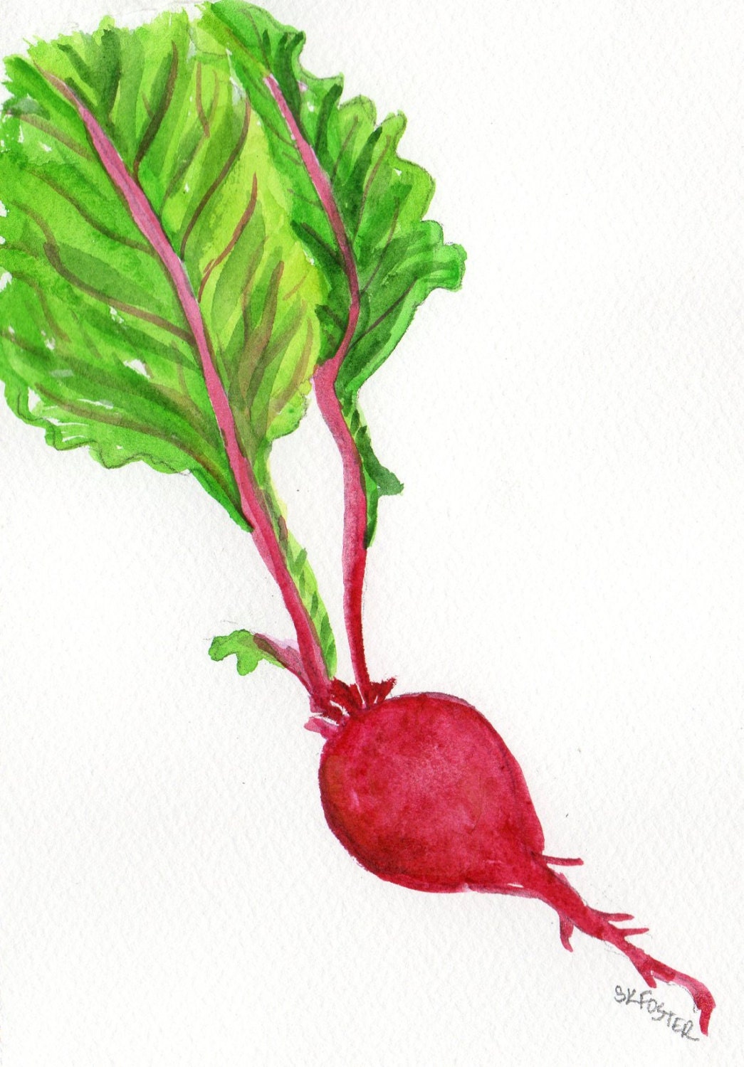 Beet watercolor painting original,  vegetable series, 5 x 7, beet art