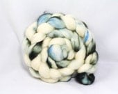 Alpine Handdyed Superwash BFL Roving- 4.3oz