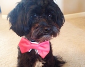 Coral or Dark Teal Satin Bow Tie for your dog