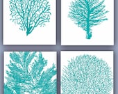 Sea fan Collection Prints, Set of 4, 11x14,  Vintage illustrations in green turquoise, Nautical Art, beach cottage, Coastal living decor