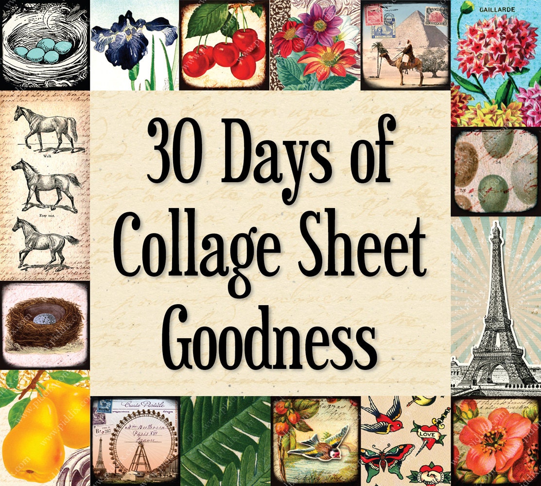 RESERVED for PREVIOUS Subscribers -- 30 Day Subscription -- Every single new collage sheet from piddix